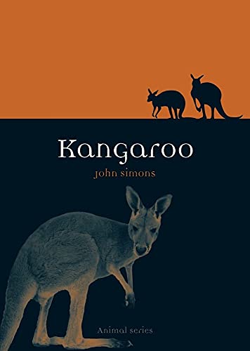 Kangaroo view 2