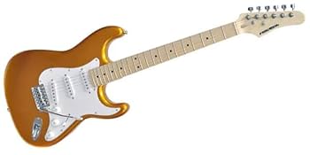 PLAYTECH プレイテックST250 イエロー エレキギター PLAYTECH ( プレイテック ) ST250 Maple Yellow 送料無料