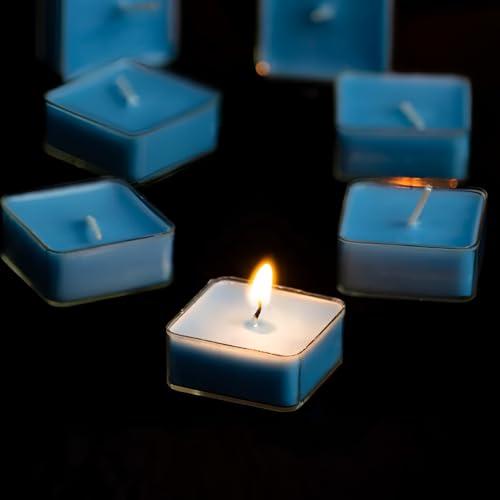 Image of Oblivion Tea Light Candle for Brother - Rakhi for Brothers, Silver Color Coin & Greeting Card, Gift for Bhai, Bhabhi & Kids, Traditional Raksha Bandhan Celebration Combo Kit 2025