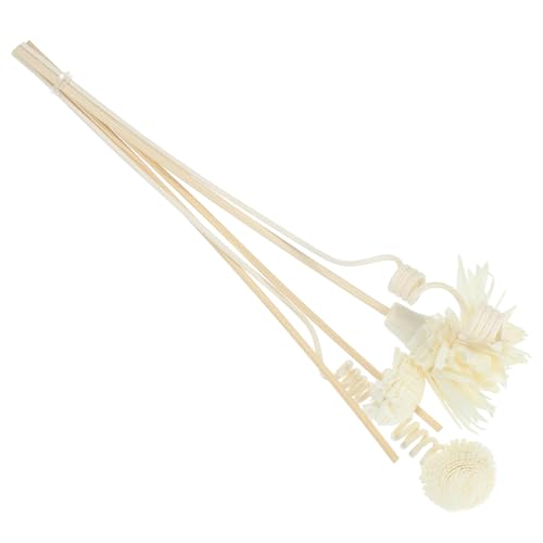 NOLITOY 1 Juego Difusores De Aroma Decoraciones Difusor De Aromaterapia Rociar Difusores para El Hogar Humidificador Dispensador Aire Perfumado Fragancia Palos De Olor Flores Secas