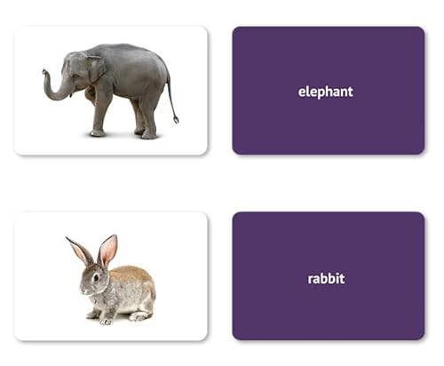Nouns Flash Cards: 200 Modern Language Photo Cards | Vocabulary Builder | Toddler Flash Cards For Speech Therapy | Preschool Learning Activities | Esl Teaching Materials | Autism Learning Materials #TOP1