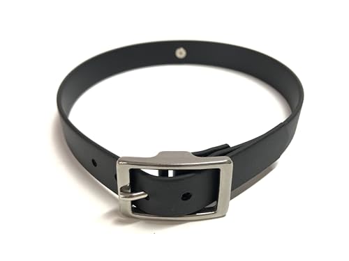 Personalisiertes BDSM Halsband, 2 cm Breite, Biothane Material, Schwarz mit Ring, Handgefertigt in Deutschland