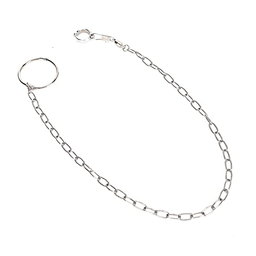 Stainl Steel Split Foot Chain for Large Pet Training Anklet for Birds Parrots of Including Golden S Monk Kecks Ale and Suns Large Foot ChainStainl Steel Foot Chain Training
