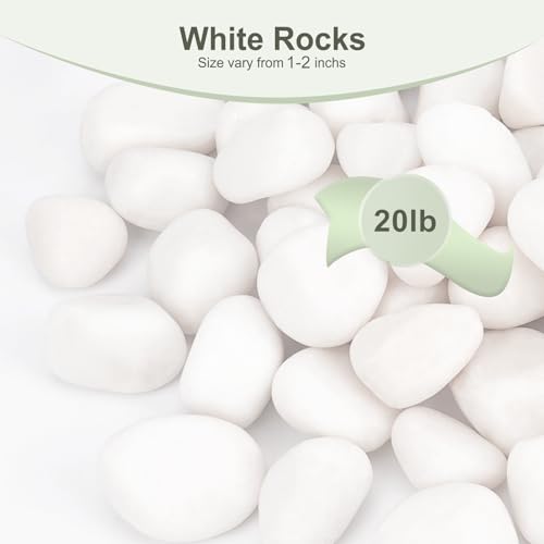 Image of Pulovin 20 lbs White Rocks for Plants Indoor, 1-2 inch Decorative Garden Stone Outdoor Landscaping, Walkways, Yard, Large Polished River Rocks for Plants Pots, Vases, Crafts