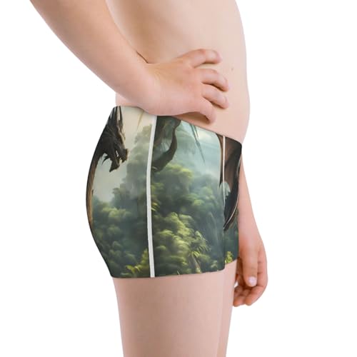Boys' Cotton Boxer Brief Soft Underwear-Forest Stone-Colored Dragon2