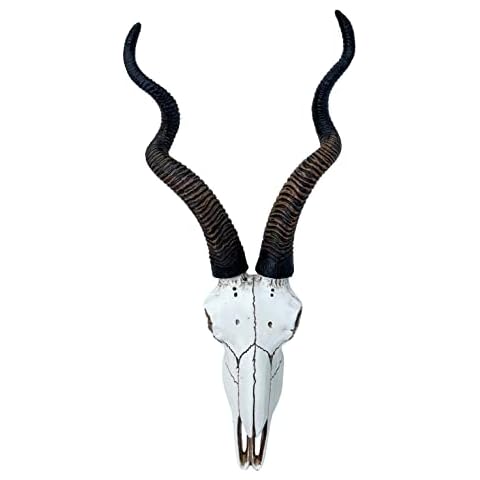 Top Brass African Kudu Antelope Skull Cover