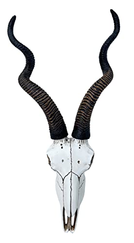 Calavera de Antílope Kudu Africano 14.5 pulg Top Brass