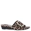 Black-leopard