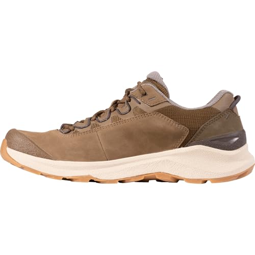Oboz Men's Cottonwood Low B-Dry Hiking Shoe