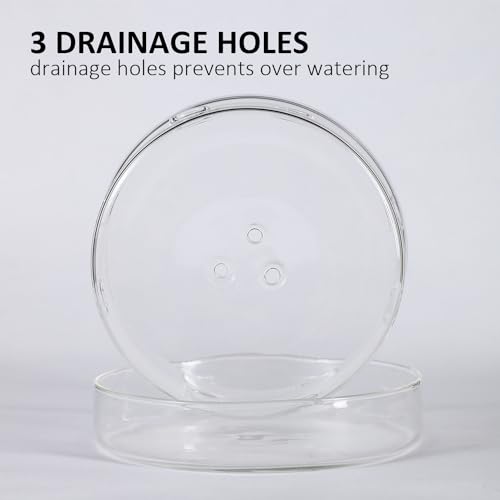 PERFECTOP 2Pcs 4.3+5.8inch Glass Orchid Pots with Holes and Saucer,Clear Breathable Orchid Planter with Drainage Holes & Tray,Stylish Flower Pot Planter for Orchids Indoor Plants,Home Office Decor