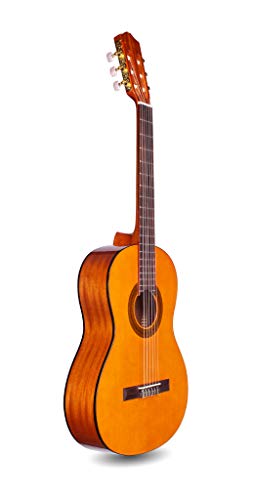 Cordoba Guitars Protege C1 ¾ Size Acoustic Nylon String Guitar