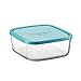 Frigoverre Glass Blue 19 Storage Container