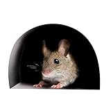 3.Mouse Loch Wandtattoo Sockelleiste Sie können sie auch auf Bücher, Möbel, Fenster und viele andere DIY-Projekte einfügen.