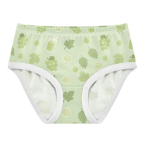 Girls' Underwear Grape Toddle Brief Panties 2-8 Years 20300710