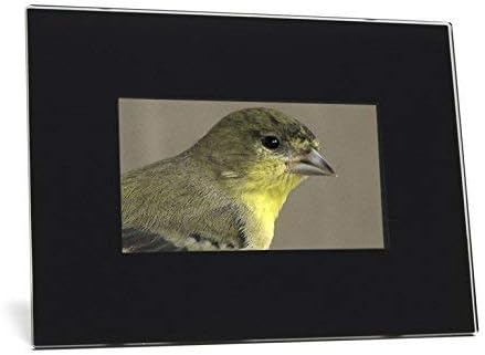 Visionquest 7 Inch 16x9 LCD Digital Photo Frame With Stereo Speakers and Remote Control - 128MB Memory