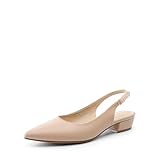 DREAM PAIRS Kitten Slingback Low Block Heels for Women Pointed Closed Toe Business Dress Shoes Wedding Party Comfortable Pumps Shoes,Size 8,Nude,DWUMPU2504