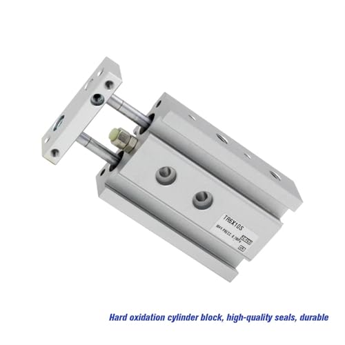 Vérin pneumatique double tige TR résistant aux charges radiales TR25X60S