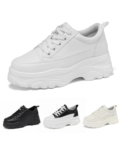 [AhX] Xj[J[ fB[X Xj[J[  EH[LOV[Y y ₷ Ȃ ^C h V[Y L ʋ ʊw Cq[ 7.5cm gAbv y 22.5-25.5cm