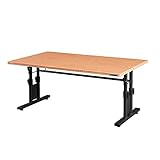 Bauhutte ( バウヒュッテ ) ローデスク 昇降式 ゲーミングデスク ロータイプ ( 幅 100 × 奥行 60 高さ 39~49 cm ) 木目 BHD-1000L-WD