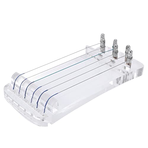 Vaguelly 水晶小古筝 指法練習器 便携式 エクサ ツール 指力強化 ミニ古筝 初心者用