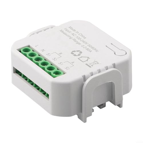 Besttoolifes Moniteur d'énergie bidirectionnel intelligent 2 voies WiFi avec 80 A/1 pince, moniteur d'énergie Wi-Fi domestique, compteur d'énergie monophasé compatible avec l'électricité (1 voie + CT)