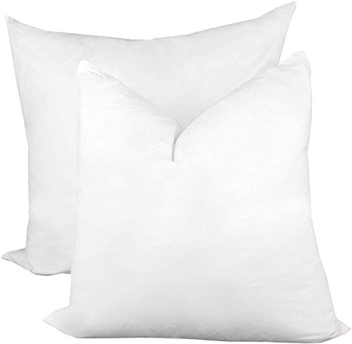 Throw Pillow Insert 22