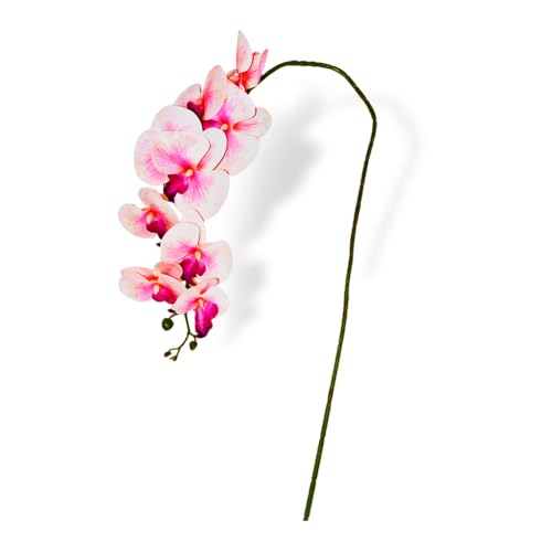 Image of CraftVatika Artificial Faux White Orchid Flower Single Stem with 10 Flower Heads | Phalaenopsis-Style Butterfly Orchid Look | Decorative Flower for Vase Decoration, Home, Office, Wedding Event Decor