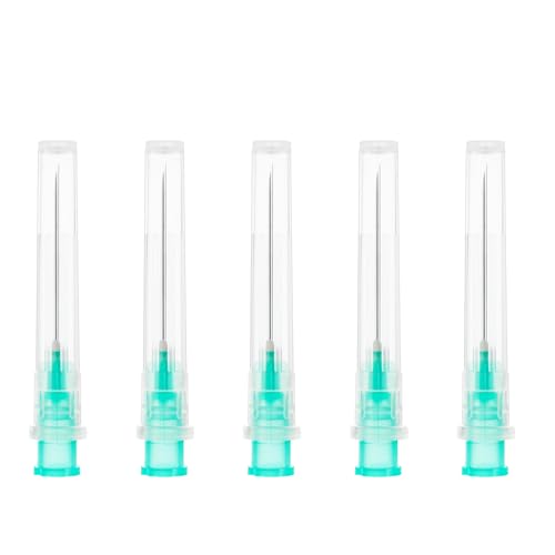 100 Stück Edelstahl Abgabe Tube mit DeckelIndustrie Laborzubehör Nadeln für Haushalt Hobby Öl Klebstoff Einzeln verpackt