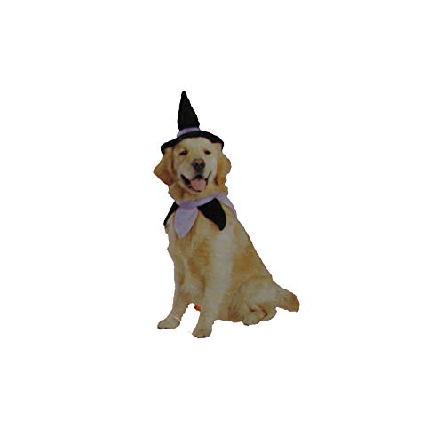 Disfraz de bruja para perro XL/XXL 30-100 lbs
