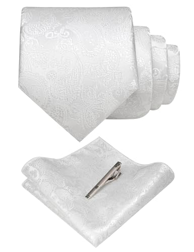 JEMYGINS Mens White Paisley Necktie and Pocket Square with Tie Clip Sets(47)