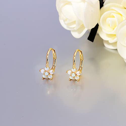 CiNily Opal Dangle Earrings for Women Girls Flower/Butterfly/Oval Shape Leverback Drop Earrings Gemstone Jewelry Gift4