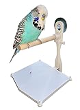 pour petits - moyens oiseaux Perchoir pour Oiseaux à Coller sur la fenêtre avec bac à déjections. Perchoir pour Oiseaux de fenêtre/Perchoir de Douche, Perchoir pour Oiseaux en Bois, blanche 355354354