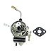 Carburetor With Gasket Compatible With Automotive Motorcycle Parts C350 C270 PZ110 T270 PB270 A021002470 Replacement 70170-81020