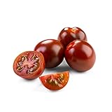 tomate bio aldi De textura carnosa y jugosa Tomate cherry kumato bandeja 250 gr