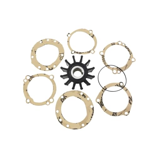 Turbine de pompe à eau moteur QSD 2.0 C0 pour éviter la surchauffe marine