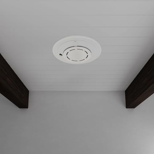 Siemens fire suppression system