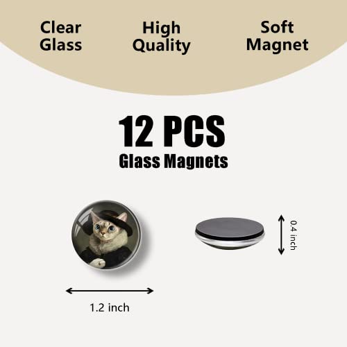 12 imanes decorativos de vidrio con diseño de gato miniatura 3