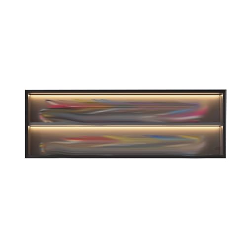 HJLKDYM Wall Mounted Storage Cabinet, With LED Light，Wall Cabinet With Doors Display Case For Figures Wall-Mounted Or Desktop Display Box Stand(80x30x38cm)