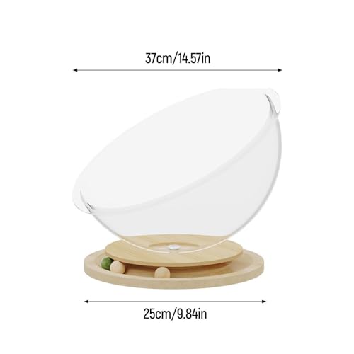 Panier pour chat en capsule spatiale et hamac en bois pour petits animaux