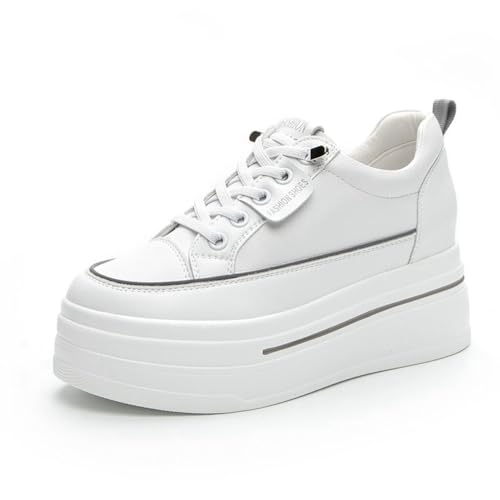 [`CW] Cq[Xj[J[ fB[X Xj[J[ fB[XXj[J[  r V[NbgV[Y O[-U[ V[Y [XAbv 8cm   q[Abv y 24.0 cm gAbv