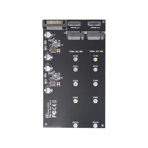 xiwai Dual Oculink SFF-8612 SFF-8611 to NVME M.2 NGFF M-Key PCIe SSD 2280 22110mm Adapter Extension Card for Mainboard