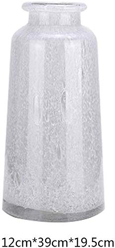 Vase transparent pour arrangement de fleurs et décoration de maison
