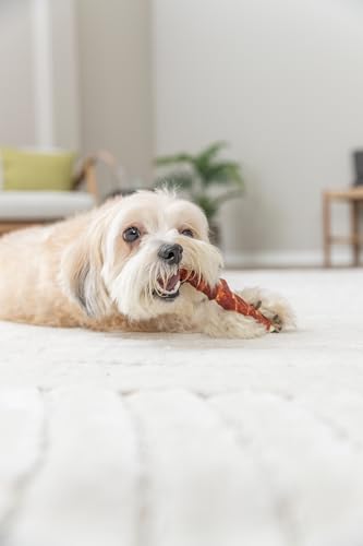 Trixie Hundeleckerli Denta Fun Roll gefüllt mit Rinderlunge & -Leber Hundesnack - Snack zur Unterstützung der Zahnpflege, herzhaftes Leckerli mit Fleisch 150 g 28 cm - 31315