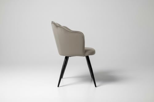 Image of Finch Fox Blake Luxurious Home Collection Dining Room Chairs in Beige Velvet Material & Stylish Design with Black Metal Powder Coated Legs