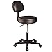 Master Massage Round Stool with backrest Swivel Rolling Height Adjustable Sillas y taburetes, Negro