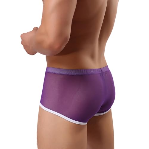 Men's Sexy Translucent Boxer Shorts Comfort Silky Underwear Trunks
