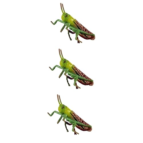 Yardwe 3 Piezas Modelo Animal Langosta Figurilla Figuras Falsas Saltamontes Falsos Juguete Educativo Insectos Juguetes El Plastico Estatua Niño Pequeño Colgar En La Pared