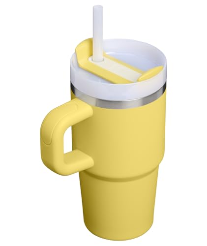 Image of STANLEY Quencher H2.0 Tumbler with Handle and Straw 20 oz | Flowstate 3-Position Lid | Cup Holder Compatible for Travel | Insulated Stainless Steel Cup | BPA-Free | Daffodil