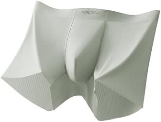 Mens Ice Silk Underwear 4-Pack Boxer Briefs Ice Sikn Comfortable Soft Underpants Underwear With Gift Box