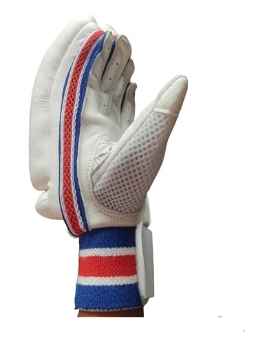 Image of Player Edition Cricket Gloves| Batting Gloves for Mens (Blue -White Combo, Right)